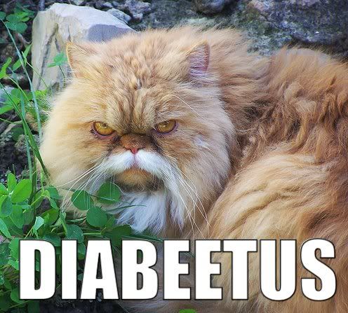 diabeetus_cat.jpg