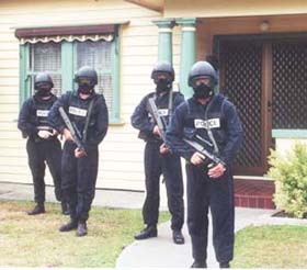 sog1.jpg