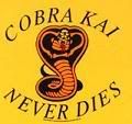 Cobra20Kai20Kobre20Kim20Above20the2.jpg