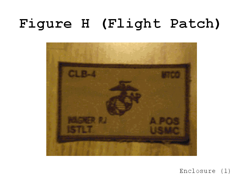 fligthpatch.png