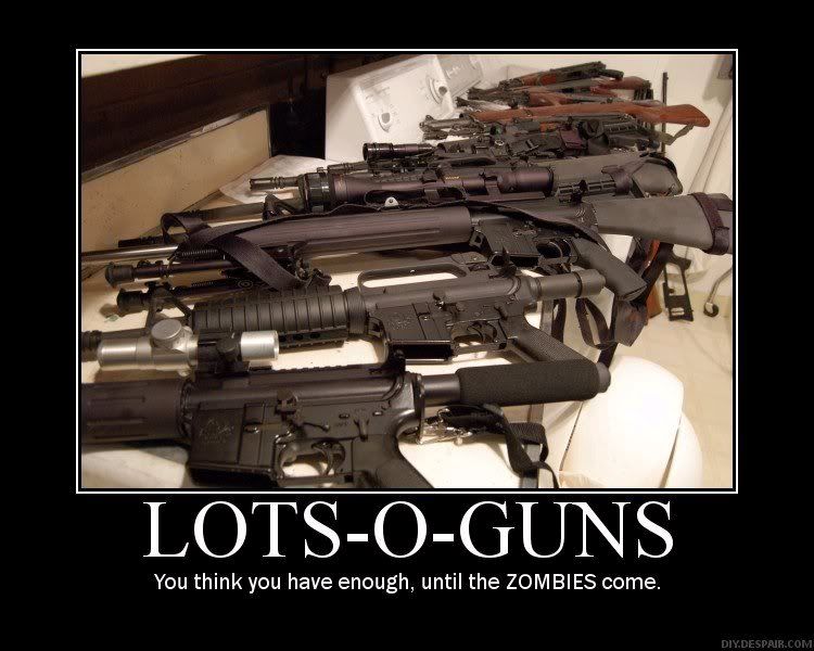 lotsoguns.jpg