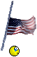 24356844996_75a2e63df8_o.gif