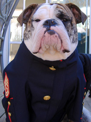 marine.jpg