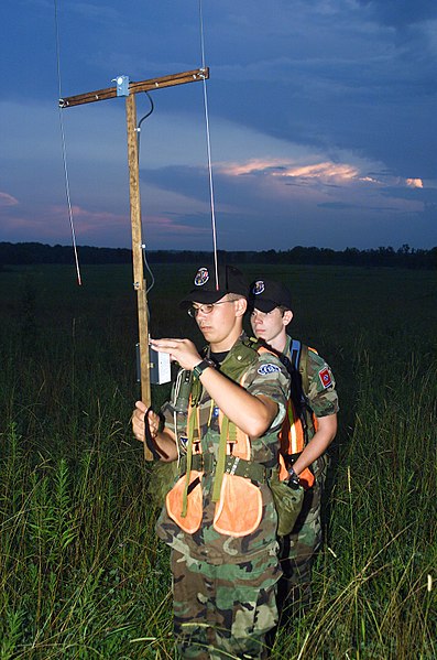 397px-Eltsearch.JPG