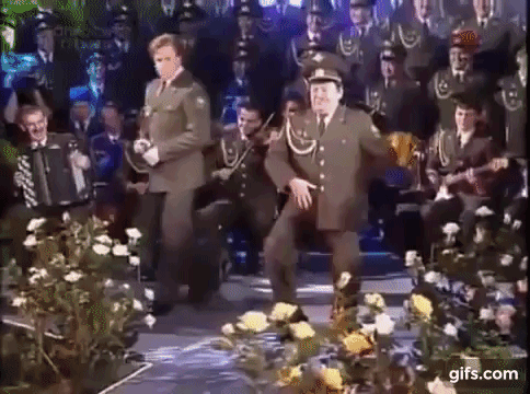 vl3oOL.gif