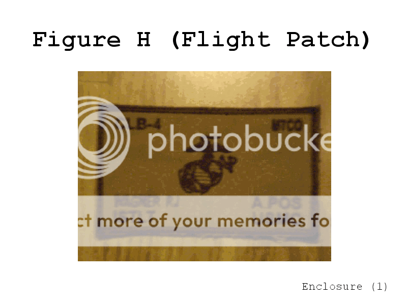 fligthpatch.png