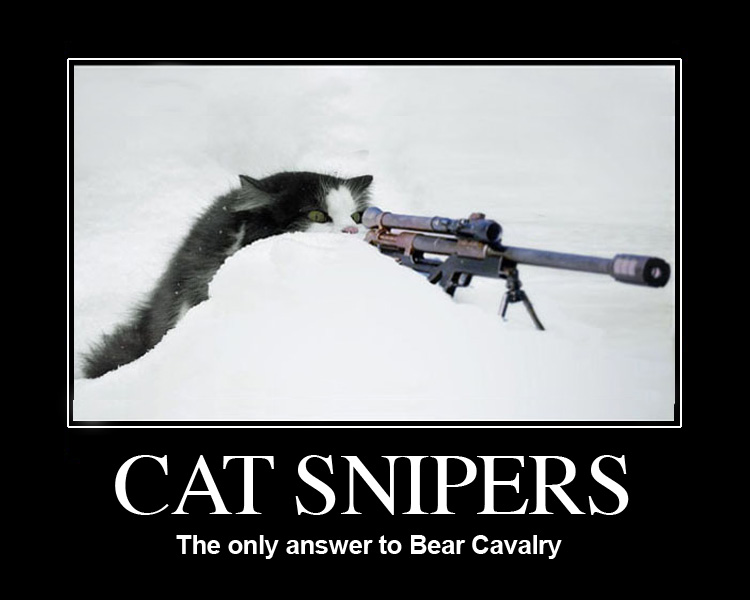 CAT-SNIPER.jpg