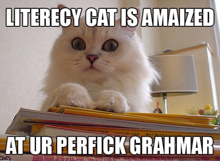 literacy-cat.jpg