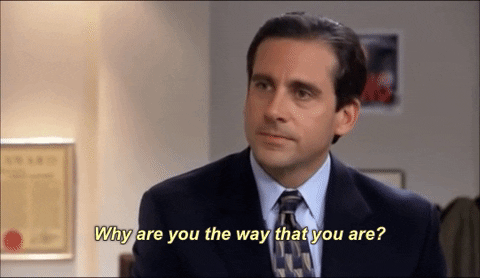 why-are-you-the-way-you-are-michael-scott-the-office-gif.gif